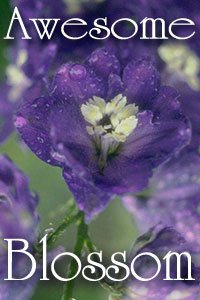 awesomeblossom-1
