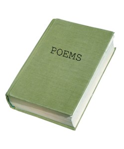Old book w/path